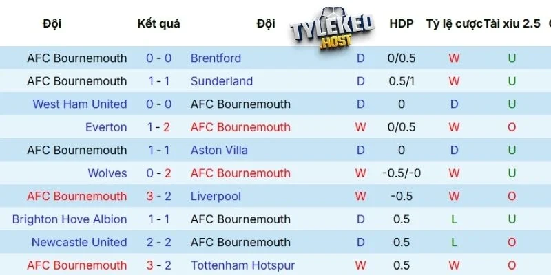 Thành tích gần đây của Brighton